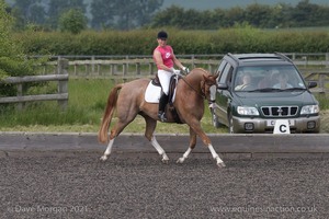 ISIS Dressage Challenge 2008